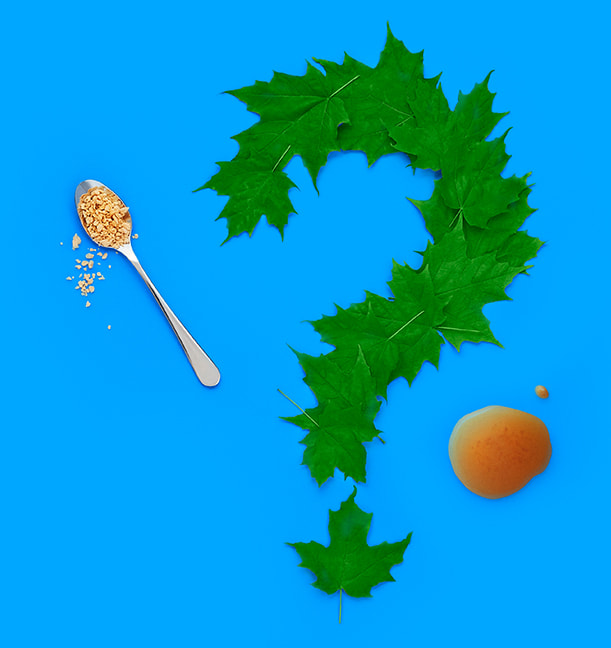 Question mark made of green maple leaves between a spoon with maple flakes and maple syrup splash.