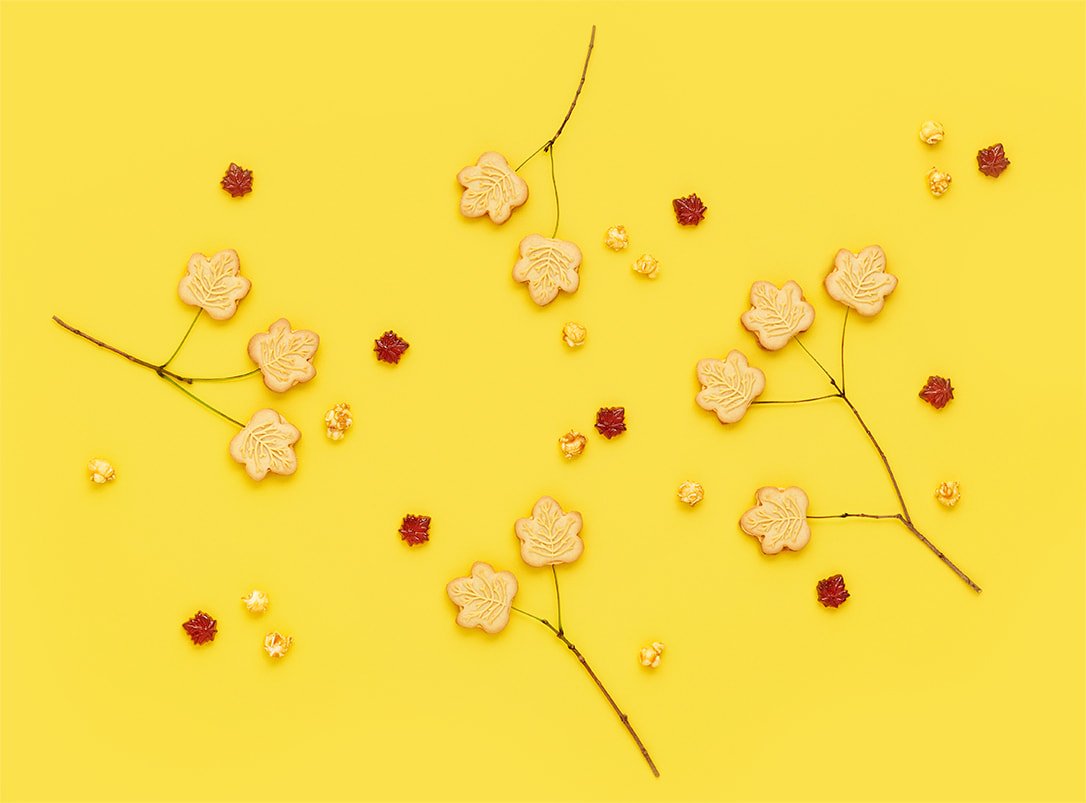 Fond jaune avec des biscuits au sirop d’érable disposés comme des arbres.