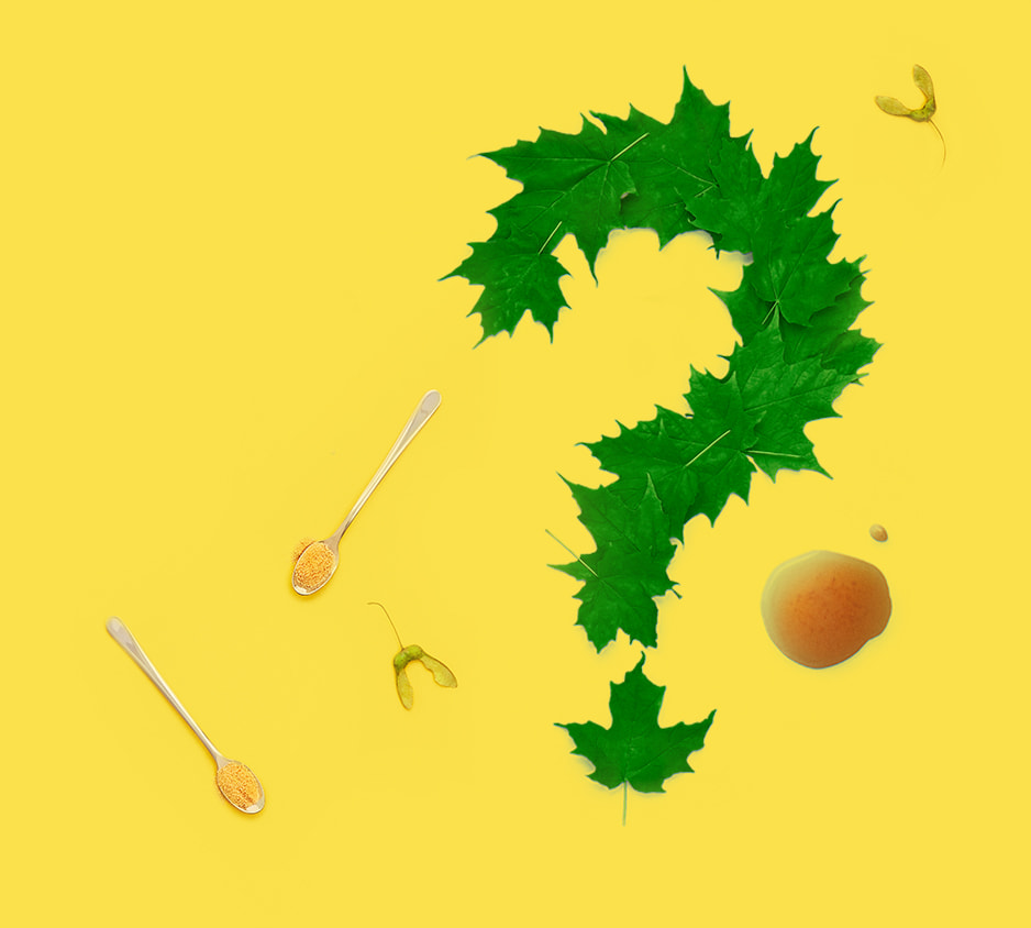 Question mark made of green maple leaves between 2 maple flakes spoons, maple seeds and a maple syrup splash against yellow background.