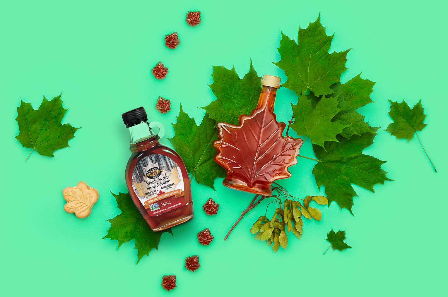 Glass maple syrup bottles against a green background with green maple leaves, maple seeds, maple candies and a cookie.